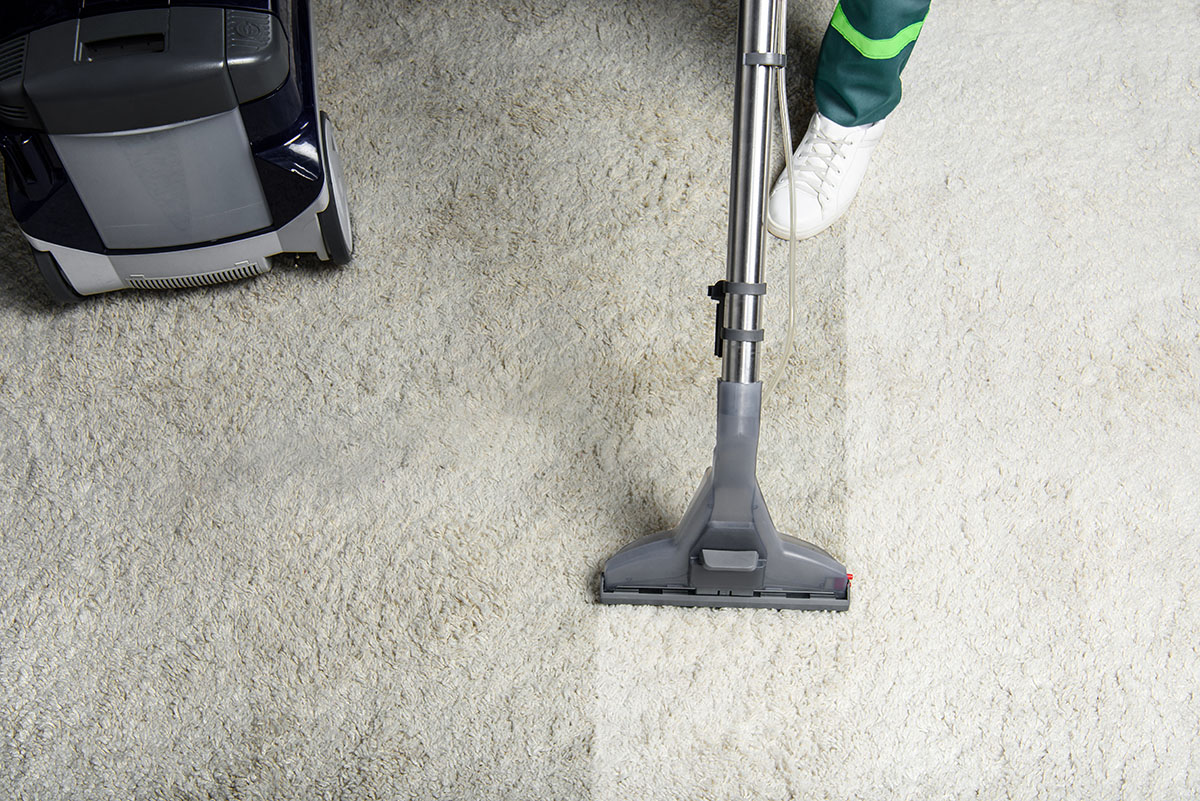 Commercial Carpet Cleaning Services Near Me